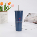 Stainless Steel Insulated 25oz Tumbler Cup