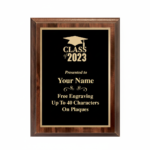 Noble Custom Cut Wooden Ornaments Achievement Award