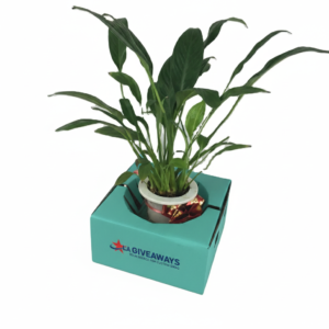 Selected Variation Image