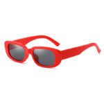 Custom Logo Plastic Colors Lens Sunglasses - Image 5