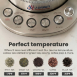 Electric Kettle with Infuser & Temperature Control