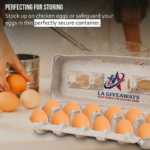 Recycled Pulp Egg Cartons – 12 Egg Storage Containers (25 Pack)